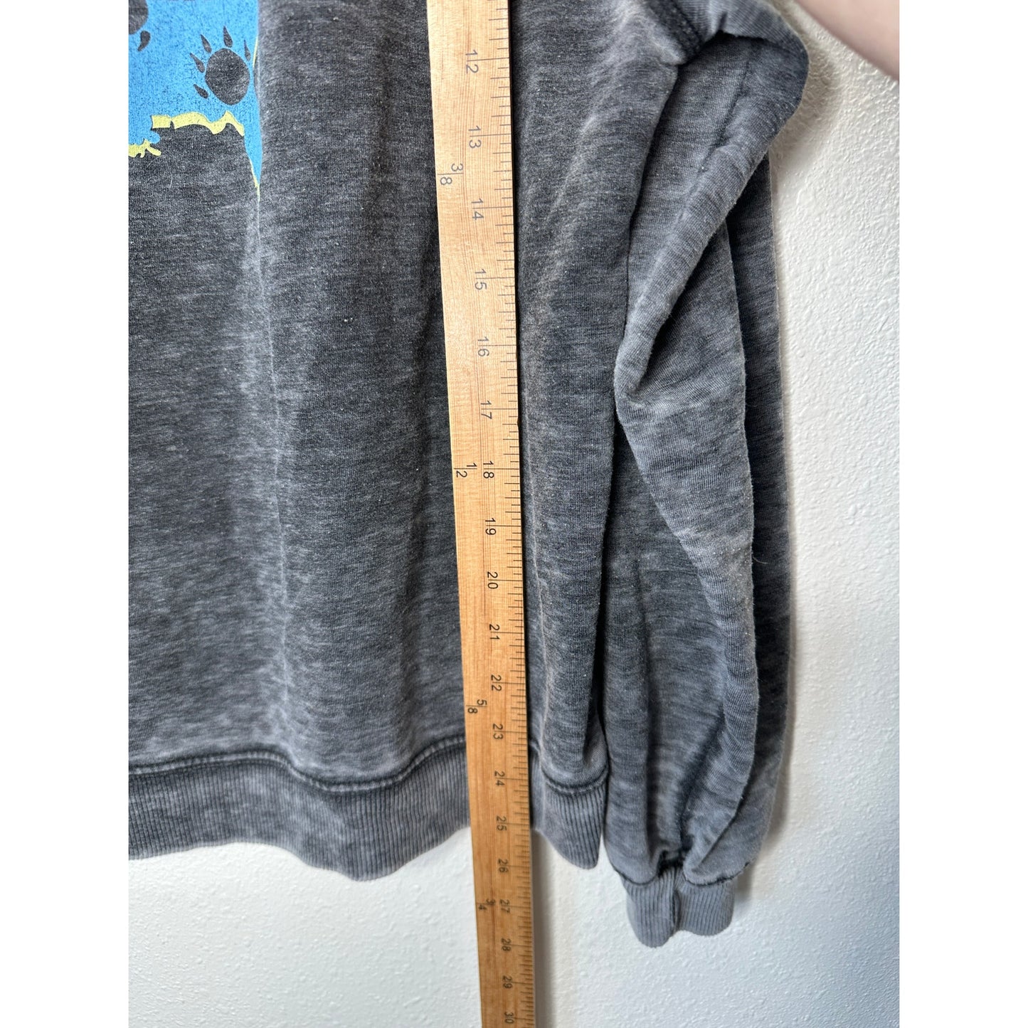 Recycled Karma Burnout Gray Crew Neck Long Sleeve Blondie 1982 Tour Sweatshirt S