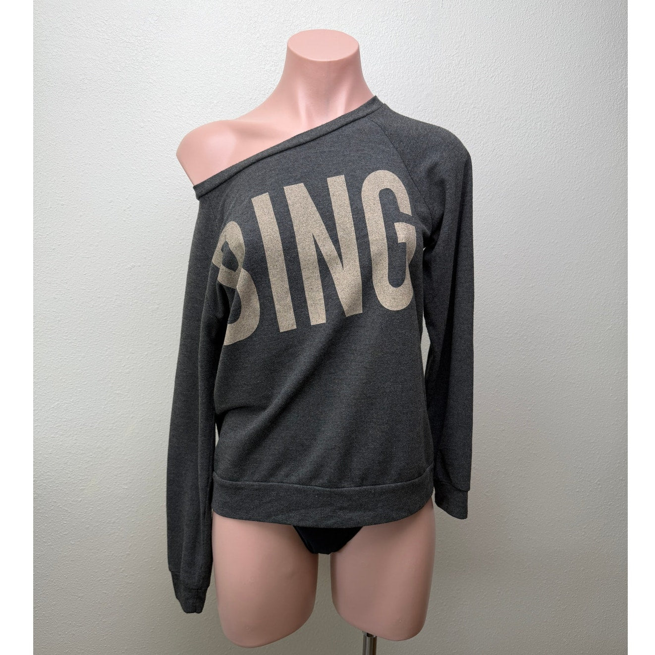 Anine Bing sweater gray graphic logo women US S crewneck