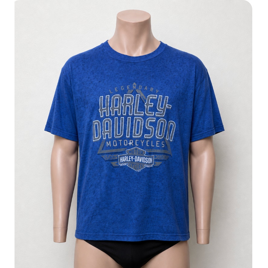 Harley-Davidson Savannah GA Tee Men’s L Blue Biker Shirt