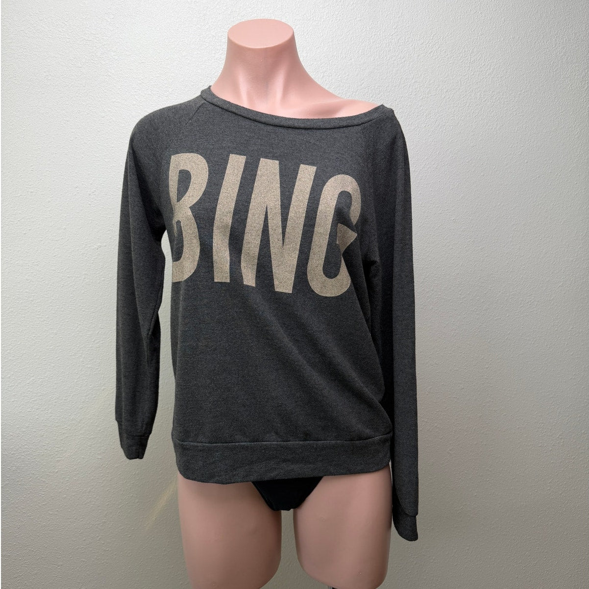 Anine Bing sweater gray graphic logo women US S crewneck