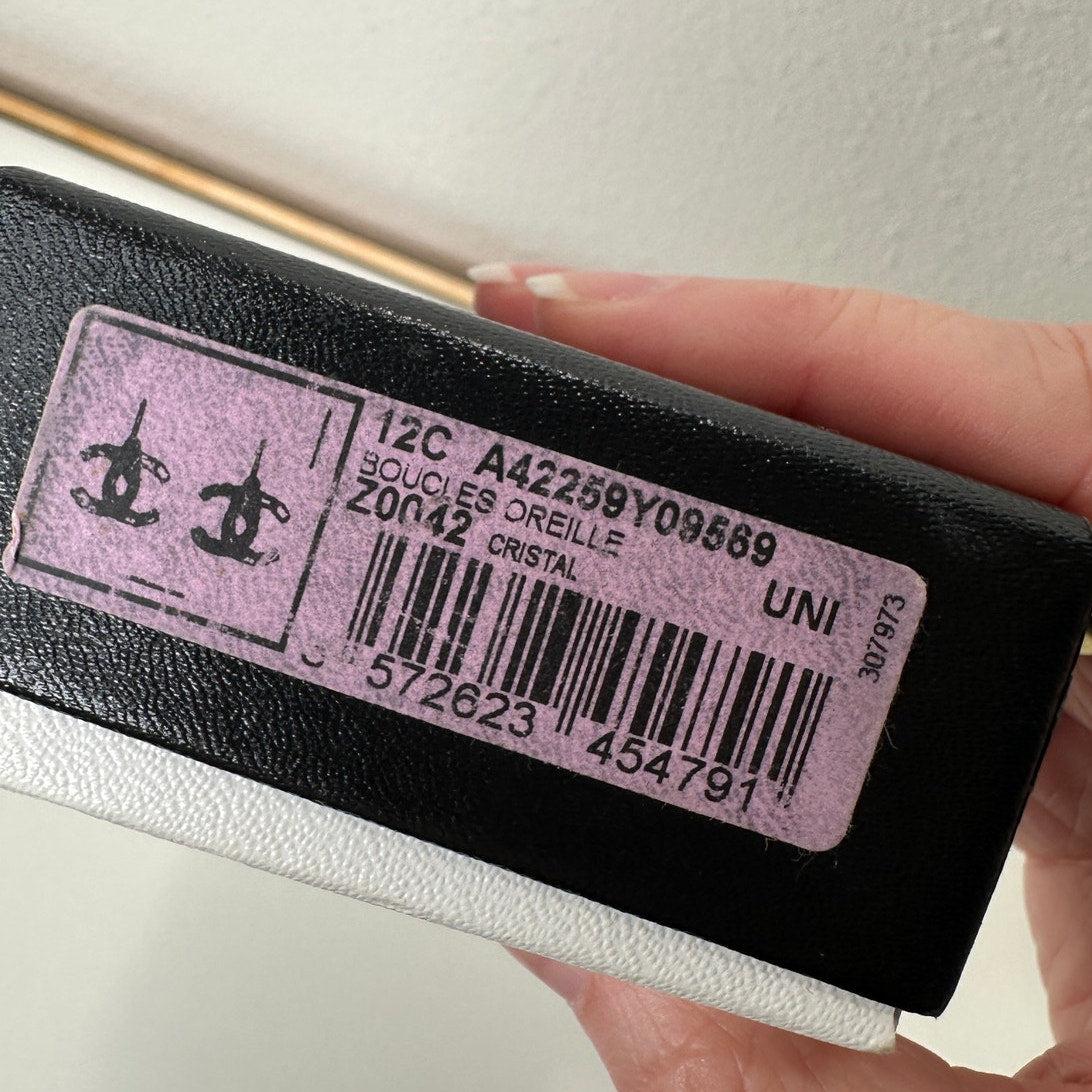 Chanel Baguette Stone Logo Silver Earrings Boucles Oreille Crystal