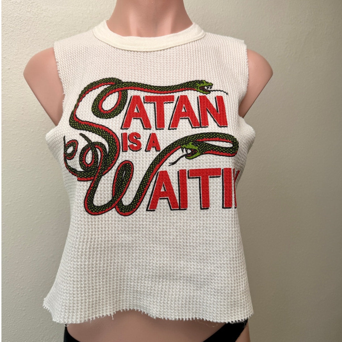 Indera Satan Is A Waitin Snake Graphic Thermal Crop Tank Top Large