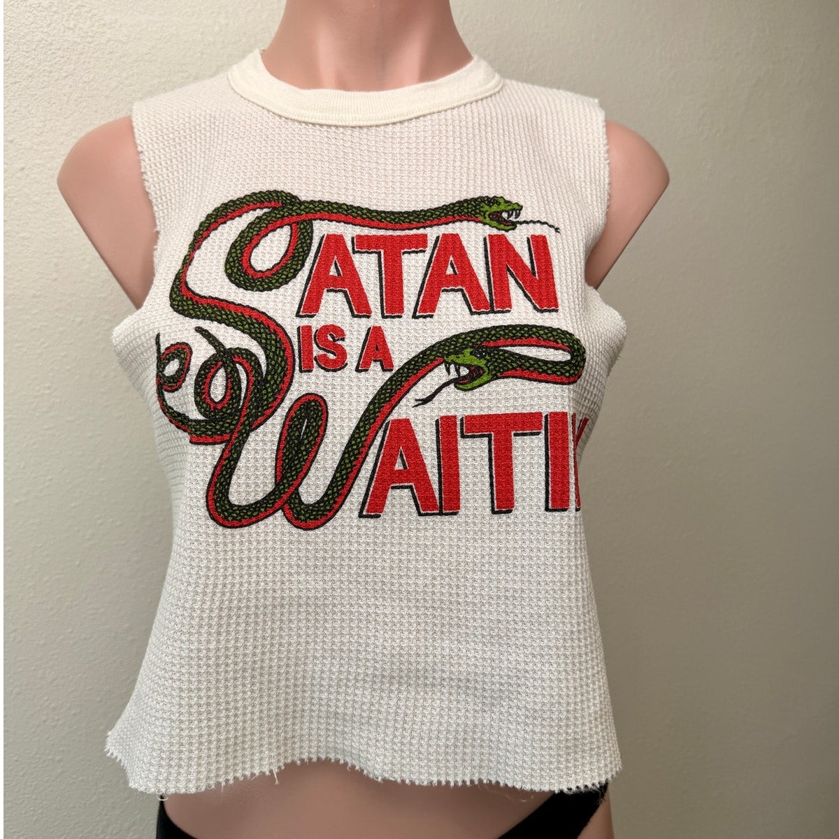 Indera Satan Is A Waitin Snake Graphic Thermal Crop Tank Top Large