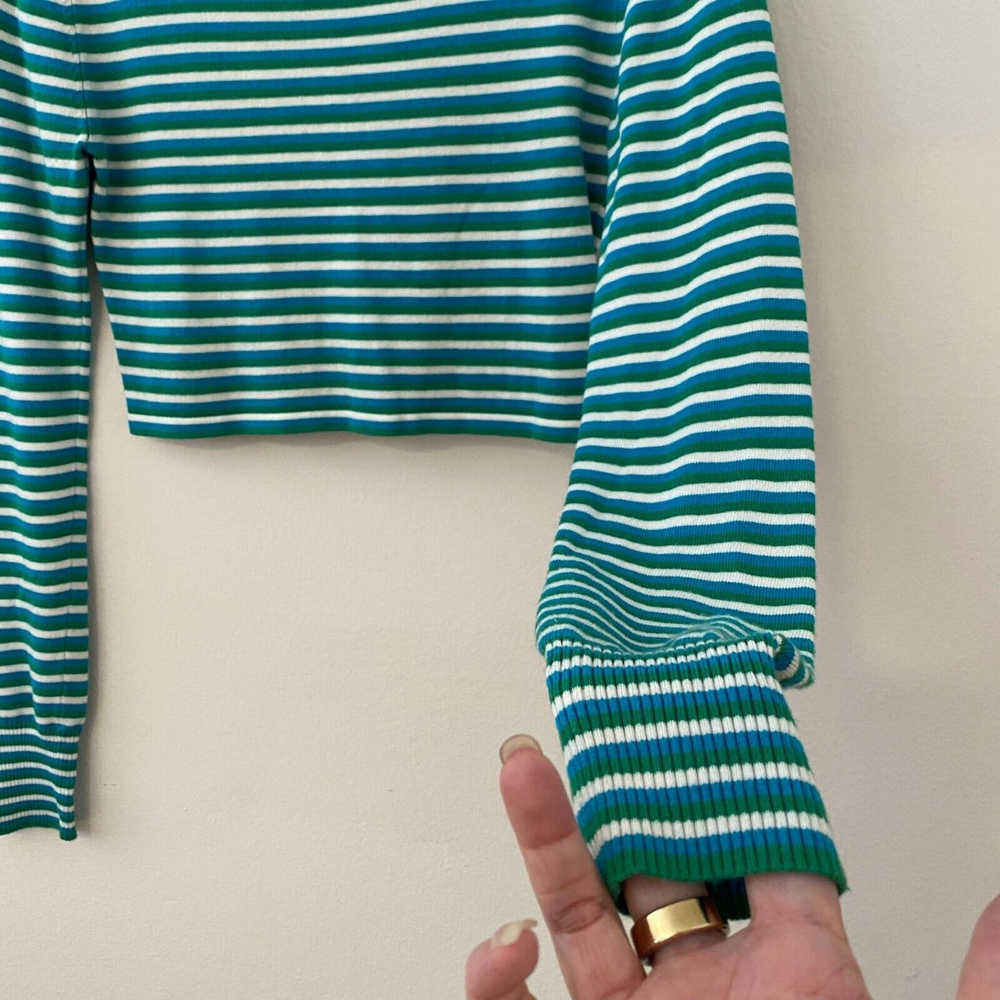 Silence + Noise Blue Green Striped Cropped Mock Long Sleeve Knit Top S