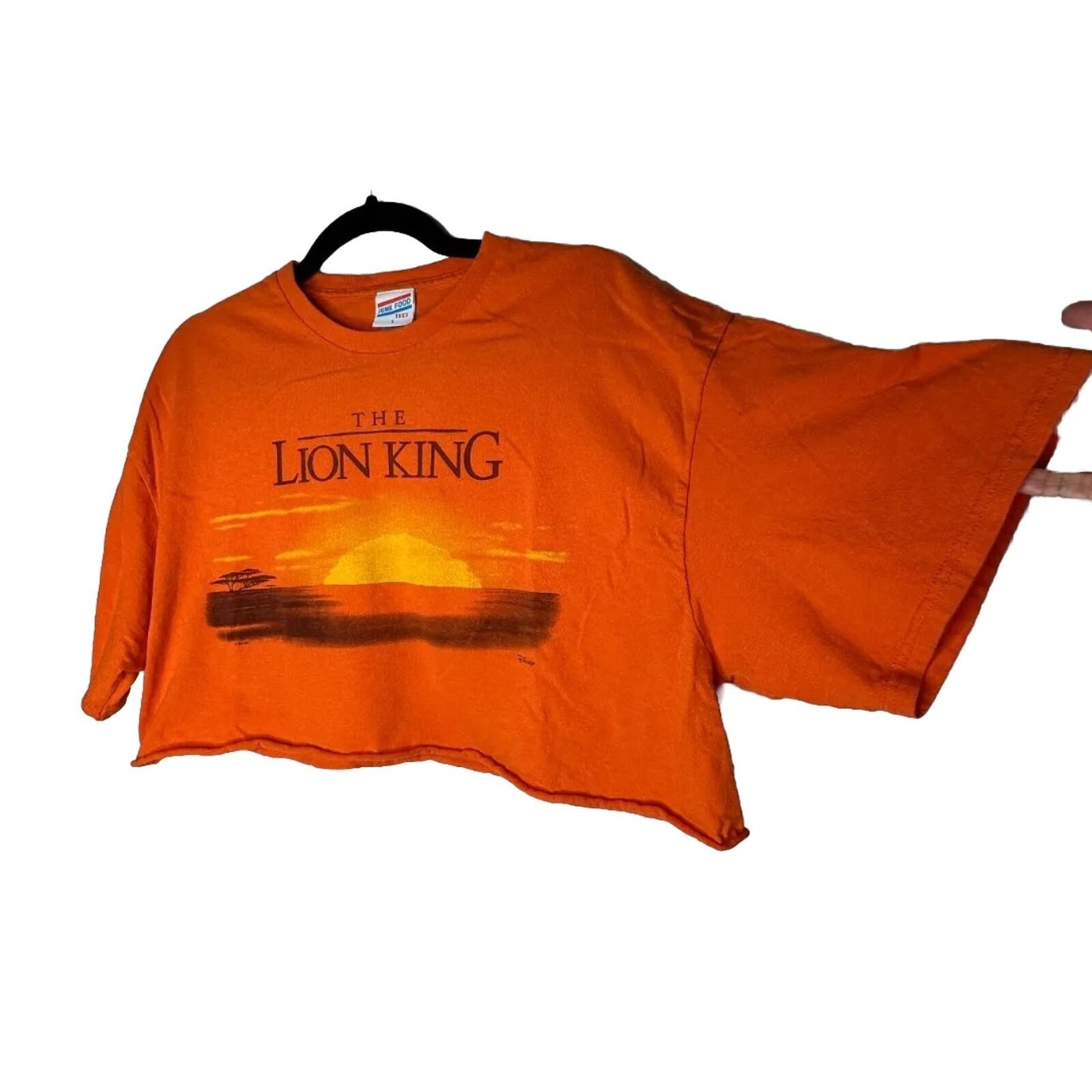 Junkfood Tees Orange Short Sleeve Round Neck Lion King Graphic Raw Hem Crop Tee