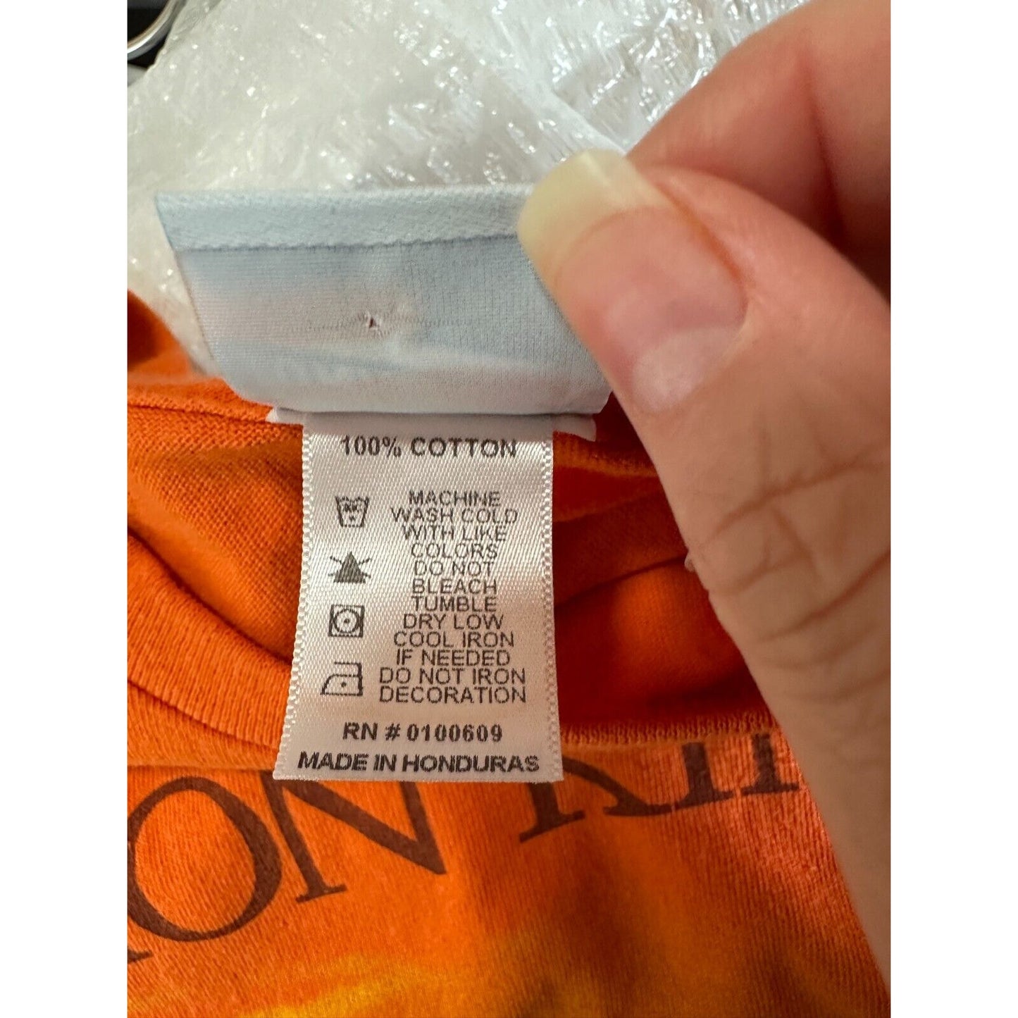 Junkfood Tees Orange Short Sleeve Round Neck Lion King Graphic Raw Hem Crop Tee