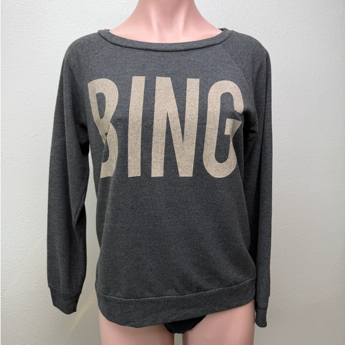 Anine Bing sweater gray graphic logo women US S crewneck