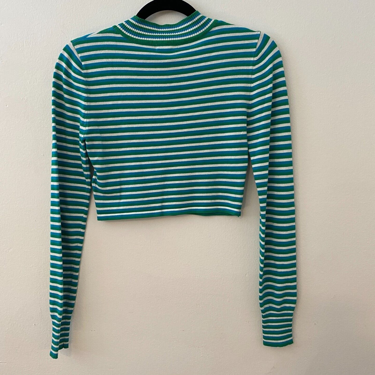 Silence + Noise Blue Green Striped Cropped Mock Long Sleeve Knit Top S