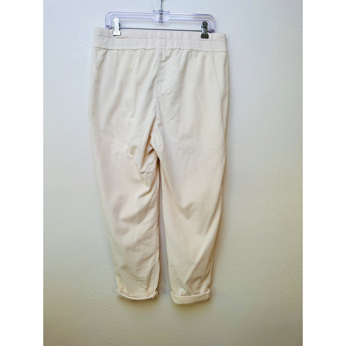 NWT James Perse Cream Ribbed Velour Jogger Unisex US S