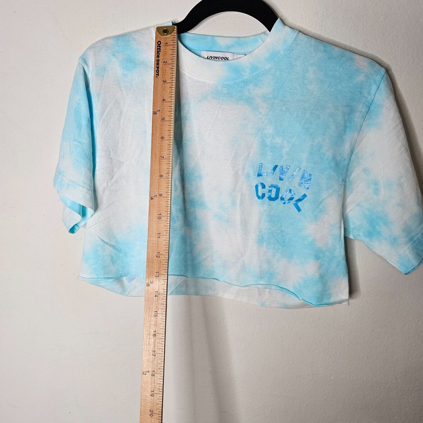 Livin Cool Pale Blue White Tie Dye Livin Cool Logo Short Sleeve Crop Tee XS