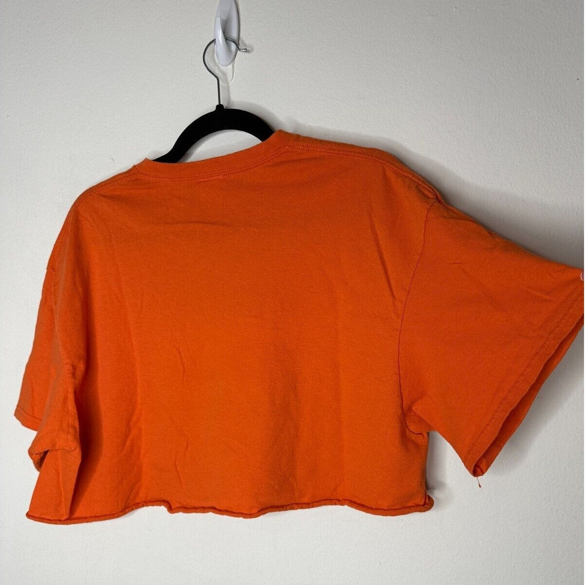 Junkfood Tees Orange Short Sleeve Round Neck Lion King Graphic Raw Hem Crop Tee