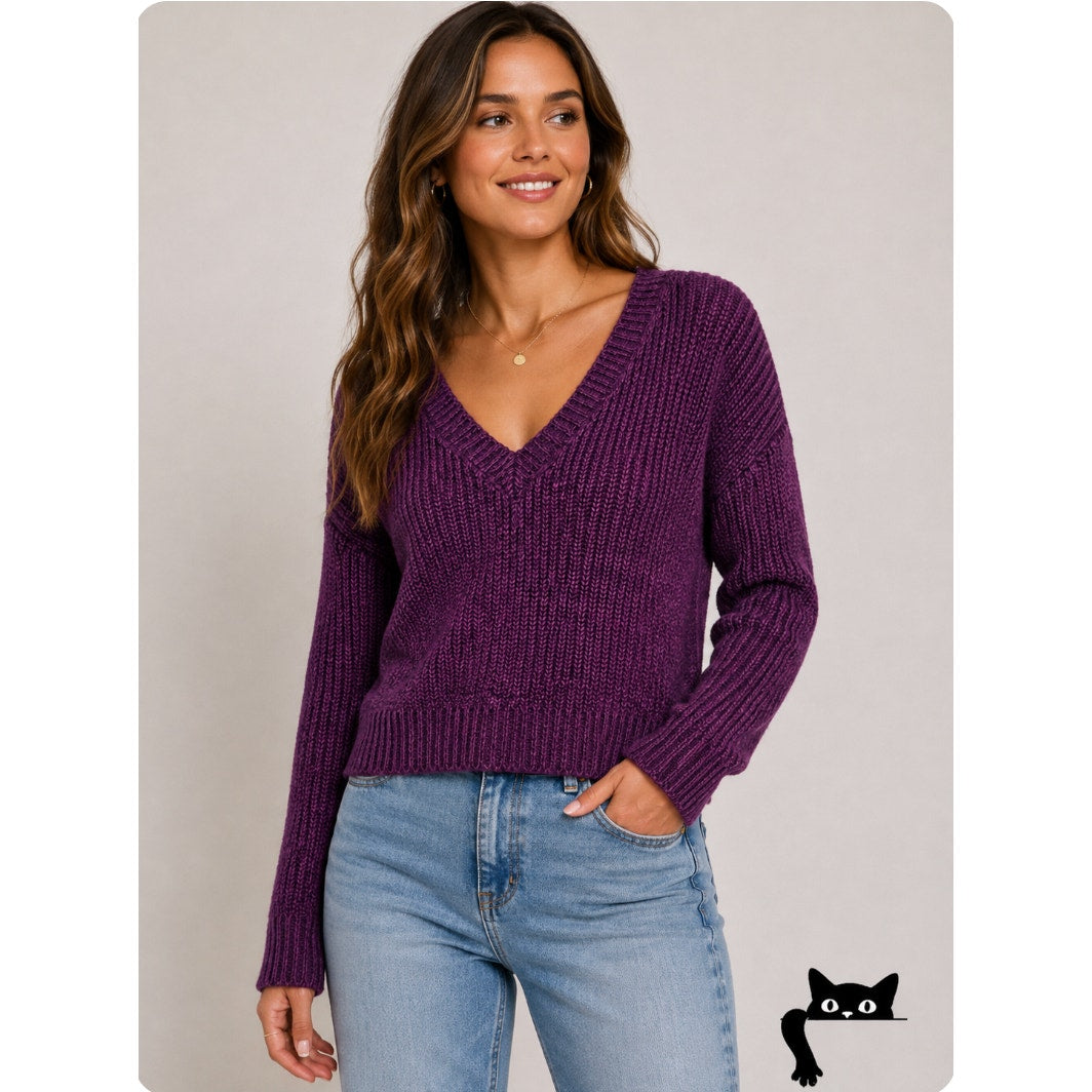 NWT Bobiblack Black Berry Marled VNeck Long Sleeve Crop Sweater S