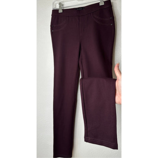 Sanctuary Eggplant Purple Thick Jegging Style Legging Pants S