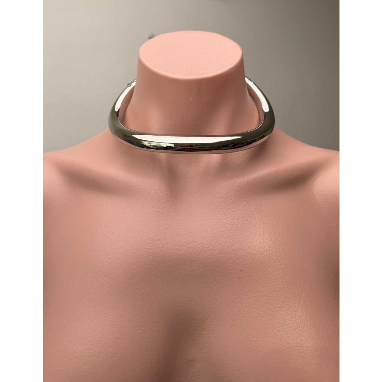 Alexander McQueen Silver Tubular Choker Necklace Women M