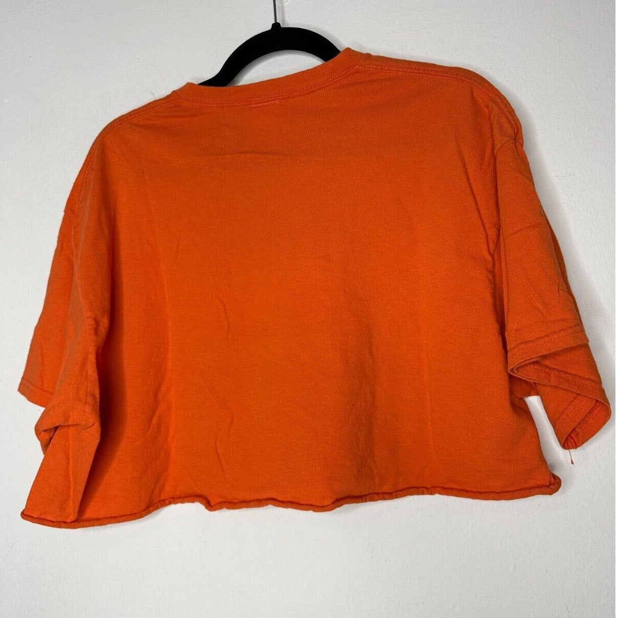 Junkfood Tees Orange Short Sleeve Round Neck Lion King Graphic Raw Hem Crop Tee