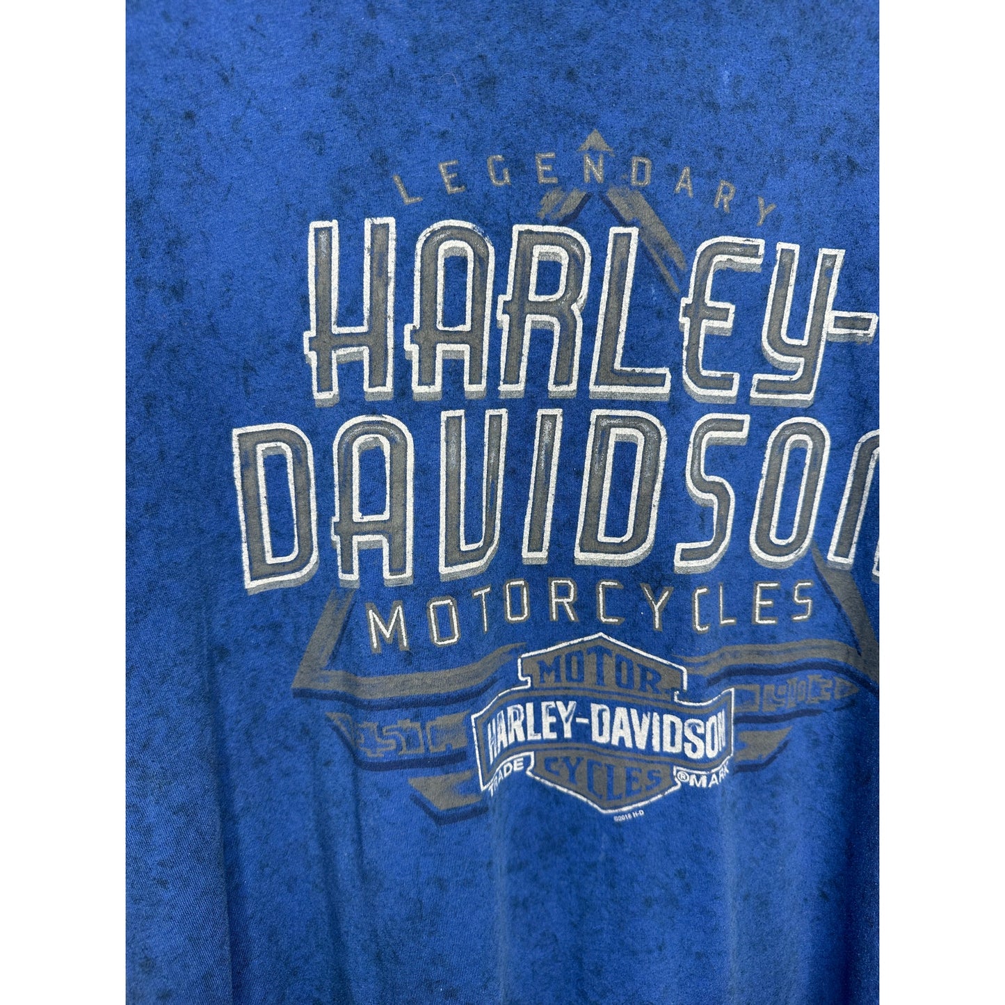 Harley-Davidson Savannah GA Tee Men’s L Blue Biker Shirt
