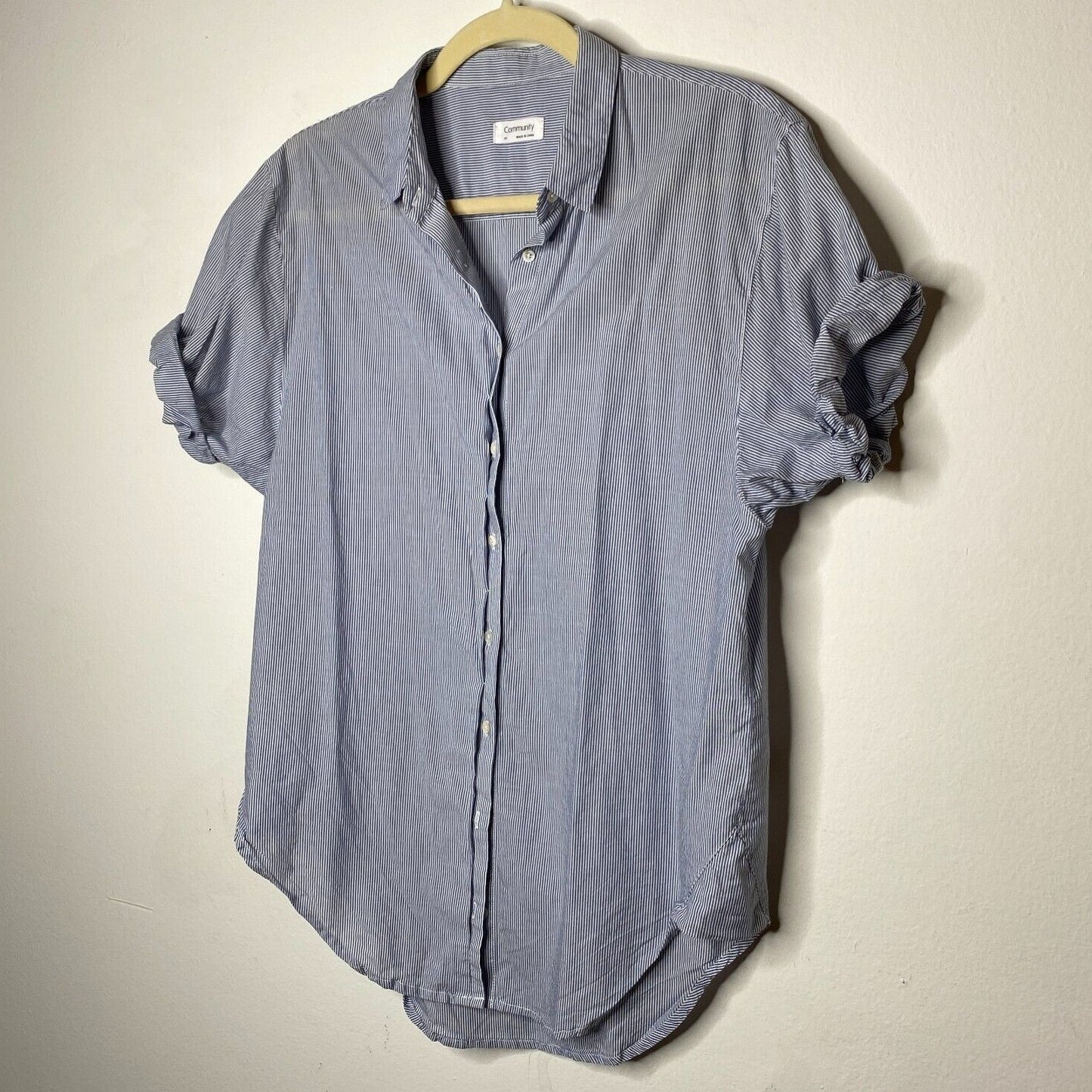Aritzia Community Blue and White Pin Stripe The Jane Short Sleeve Button Shirt